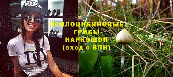 синтетический гашиш Белокуриха