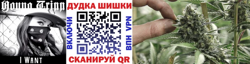 Каннабис индика  Ершов 